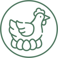 Legehennen